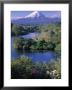 Mt. Egmont, North Island, New Zealand by Doug Pearson Limited Edition Print