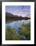 Peter Lougheed Provincial Park, Kananaskis Country, Alberta, Rockies, Canada by Michele Falzone Limited Edition Print