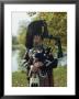 Bagpiper, Scotland, United Kingdom, Europe by Nigel Francis Limited Edition Print