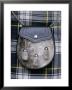 Sporran And Gay Gordon Tartan, Scotland, United Kingdom by Brigitte Bott Limited Edition Print