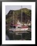 Heimaey, Westman Islands, Iceland, Polar Regions by Ethel Davies Limited Edition Pricing Art Print