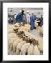 Moussem Des Fiancees, Imilchil, High Atlas, Morocco, North Africa, Africa by Bruno Morandi Limited Edition Print