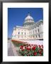 Capitol Building, Washington Dc, Usa by I Vanderharst Limited Edition Print