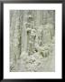 Frozen Waterfall On Plotterkill River by Tim Laman Limited Edition Print