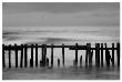 Old Pier Ii by Shane Settle Limited Edition Print