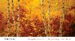 The Splendor Of Autumn by Tim Howe Limited Edition Pricing Art Print