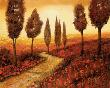 Strada Tra I Papaveri by Guido Borelli Limited Edition Print