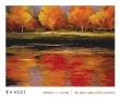Reflections Of Autumn by Tim Howe Limited Edition Pricing Art Print