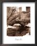 Central Park Bridge Iv by Christopher Bliss Limited Edition Pricing Art Print