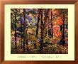 Maples And Birches by Joseph Holmes Limited Edition Print