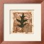 Antique Buff by Pamela Gladding Limited Edition Print
