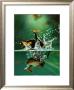 Frog Under Water by Tim Flach Limited Edition Print