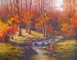 Bubbling Brook by T. C. Chiu Limited Edition Print