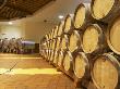 Oak Barrels In Rows And Roto-Fermenters, Maison Louis Jadot, Beaune Cote by Per Karlsson Limited Edition Print