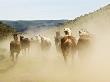 Rear View Of Horses Running In The Dust During Roundup, Malaga, Washington, Usa by Dennis Kirkland Limited Edition Print