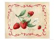 Wild Strawberries by Elizabeth Garrett Limited Edition Pricing Art Print