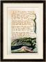 A Poison Tree, From Songs Of Experience by William Blake Limited Edition Print