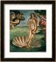 The Birth Of Venus (Venus Anadyomene), Detail by Sandro Botticelli Limited Edition Pricing Art Print