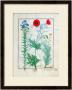 Linum, Garden Poppies And Abrotanum, Illustration From The Book Of Simple Medicines by Robinet Testard Limited Edition Pricing Art Print