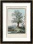 Willow Tree At The Side Of A Pond by Piringer Limited Edition Pricing Art Print