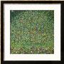 Apple Tree, 1912 by Gustav Klimt Limited Edition Print