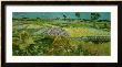 The Plain At Auvers, C.1890 by Vincent Van Gogh Limited Edition Pricing Art Print