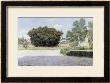 The Big Oleander by William Merritt Chase Limited Edition Pricing Art Print