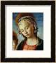 Madonna And Child (Detail) by Sandro Botticelli Limited Edition Pricing Art Print