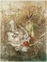 Les Extravagantes by Renee Lubarow Limited Edition Pricing Art Print
