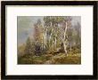 Autumn Birches In The Catskills by Edward B. Gay Limited Edition Pricing Art Print