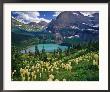 Beargrass Above Grinnell Lake, Many Glacier Valley, Glacier National Park, Montana, Usa by Chuck Haney Limited Edition Print