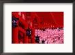 Heian Shrine In Spring, Shinto, Kyoto, Japan by Shin Terada Limited Edition Pricing Art Print