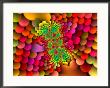 Abstract Multi-Coloured Fractal Design by Albert Klein Limited Edition Print