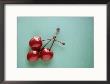 Three Cherries On A Green Background by Karen M. Romanko Limited Edition Print