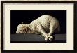 Agnus Dei, Circa 1635-40 by Francisco De Zurbaran Limited Edition Print