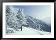 Snow Covered Trees And Snowshoe Tracks, White Mountain National Forest, New Hampshire, Usa by Jerry & Marcy Monkman Limited Edition Print