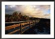 Barefoot Beach Preserve, Naples, Florida by Mark Newman Limited Edition Print
