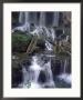 Falling Spring Falls, Allegheny County, Va by David Doody Limited Edition Print