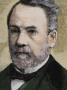 Louis Pasteur (1822-1895). French Chemist And Bacteriologist by Prisma Archivo Limited Edition Print