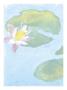 Lily Pads by Flavia Weedn Limited Edition Pricing Art Print