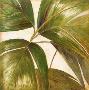 La Palmera Iii by Patricia Quintero-Pinto Limited Edition Print