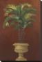 Potted Palm Red Iv by Welby Limited Edition Pricing Art Print