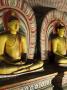 Cave Ii Maharaja Viharaya, Dambulla Cave Temples (Royal Rock Temple), Dambulla, Sri Lanka, Asia by Kimberley Coole Limited Edition Print