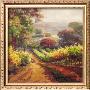 Vineyard Way by Roberto Lombardi Limited Edition Pricing Art Print