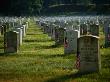 Arlington National Cemetery, Arlington, Va by Glenn Kulbako Limited Edition Print