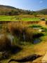 Crocodile At The 13Th Hole Of The Lost City Golf Course, Sun City, South Africa by Roger De La Harpe Limited Edition Print