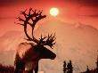 Silhouette Of Caribou, Mt. Mckinley, Ak by Ewing Galloway Limited Edition Print