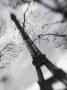 Winter View Of The Eiffel Tower, Defocussed, Paris by Walter Bibikow Limited Edition Print
