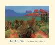 High Desert by Mary Silverwood Limited Edition Print