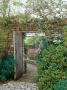 Climbing Rosa, Open Wooden Gate In Stone Wall With View Through To Autumn Borders by Mark Bolton Limited Edition Print